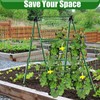 JK-GMTE Cucumber Trellises A Frame Plant Supports Green Trellis for