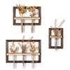 Walasis Wall Planter Propagation Stations - Hanging Glass Terrarium Tube