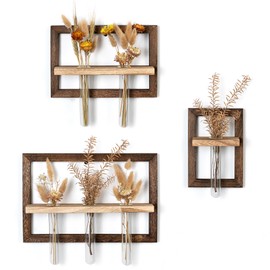 Walasis Wall Planter Propagation Stations - Hanging Glass Terrarium Tube Vase with Wood Shelf for Indoor Plants Cutting - Rustic Wall Decor for Farmhouse