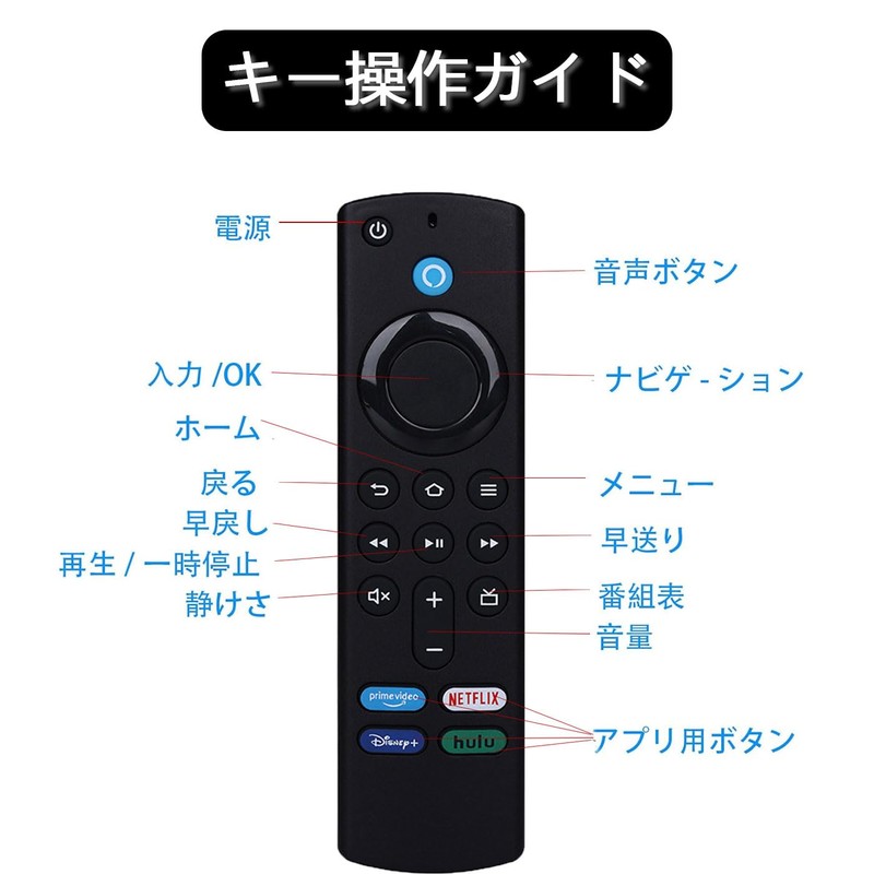 Ginhkok TV Remote with Voice Recognition Remote Control Replacement TV