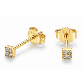 Hypoallergenic Silver 925 CZ Diamond Earrings, 0.08 inch (2 mm), Small, Extra Small, Mini, 18K Coating, 18K Gold, Silver