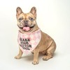 Shake Your Cotton Tail Easter Dog Bandana (White, OS 1211)