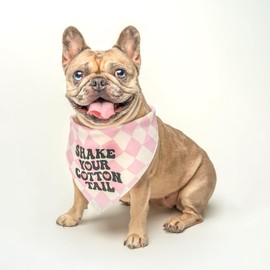 Shake Your Cotton Tail Easter Dog Bandana (White, OS 1211)