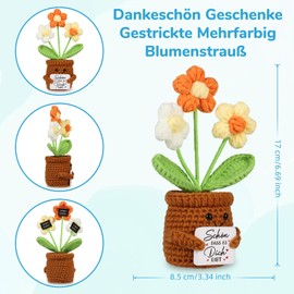 WenmthG Thank You Gifts Knitted Multicoloured Bouquet Lucky Charm Positive Potato German Replacement for Friends Colleagues Parents Knitted Flowers Artificial Flowers Thank You Gifts Small