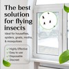 Fly Trap Indoor or Outdoor Usage | Window Fly Traps