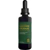 Global Healing Glucose Oxidase - 2 Fl Oz