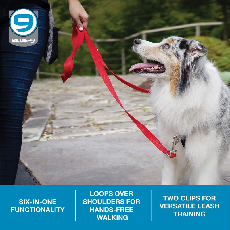 Blue-9 Multi-Function Hands Free Dog Leash, Double Attachment 6 Foot
