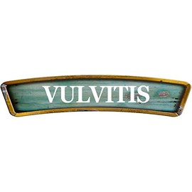 Vulvitis Teal Curved 8" Shaped Weathered Rustic Painted Wood Look Magnet for use on Any Steel Surface