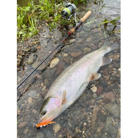 D3 Custom Lures Minnow Joint Dahlia 60S Sinking 5.5g #1/YA Yamame