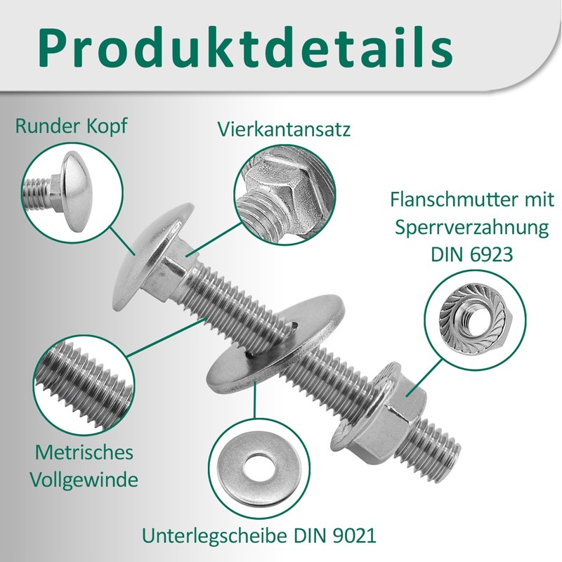 DSM - Carriage Bolts M6 x 120 mm DIN 603
