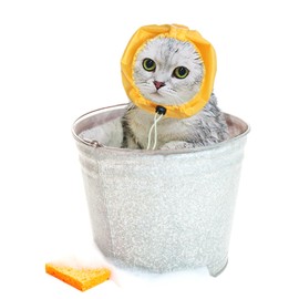 Pet Shower Cap Waterproof Hat Shower Dog Ear Covers Pet Bath Ear Protection Cats Shower Ear Guard for Hairless Cat Kitten Puppy Small Pets Bath