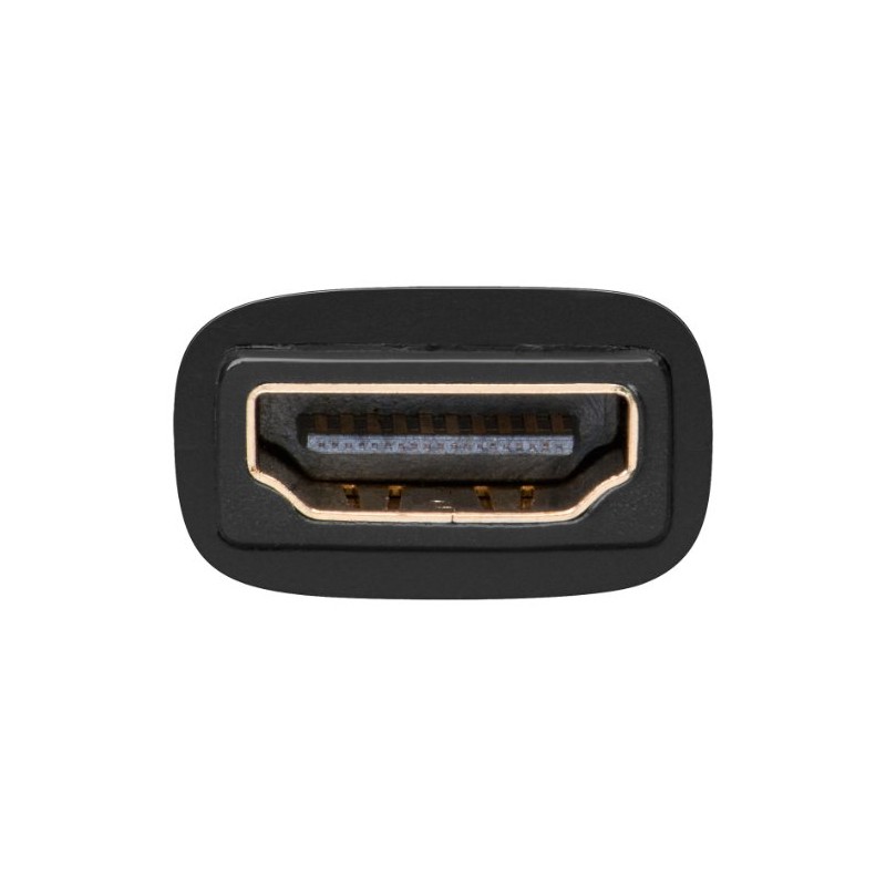Goobay 33907-GB 19 Pin HDMI Jack to DVI-D (24+1) Plug