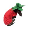 Midlee Strawberry Dog Costume