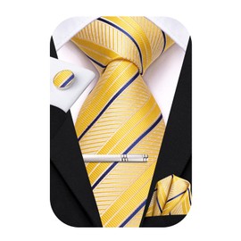 Hi-Tie Classic Mens Silk Ties Set 4 PCS Necktie Pocket Square Cufflinks Clip Pin Solid Strip Paisley Tie,Yellow Blue