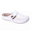 Ledi Anatomic 710 Leather Shoes Clog Mules Comfort Shoes Slippers
