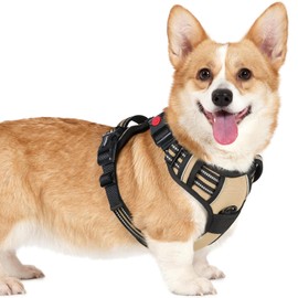 rabbitgoo Dog Harness Small Sized, No Pull Pet Harness with 3 Buckles, Adjustable Soft Padded Dog Vest with Instant Control Handle, Easy Walking Reflective Pet Vest for Small Dogs, Beige, S