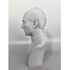 Star Trek The Next Generation Jean Luc Picard 3D Printed