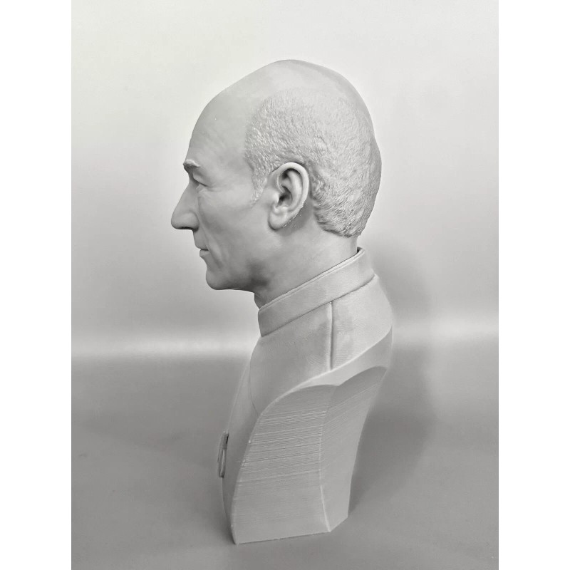 Star Trek The Next Generation Jean Luc Picard 3D Printed