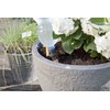 Windhager Automatic Water Dispenser, Bottle Adapter, Irrigation Aid, Irrigation System,