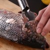Stainless steel fish scale remover, professional fish scaler fish scaler