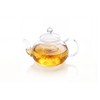TMOST Glass Teapot 600ml/20.3oz with Removable Infuser Stovetop Safe Glass