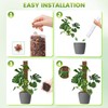 EOX 4 Pcs 24 Inch Plastic Moss Pole for Monstera,