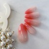 Flower Water GrasHandmade Nail Tips - Stelletto / 꽃물그라수제네일팁 -