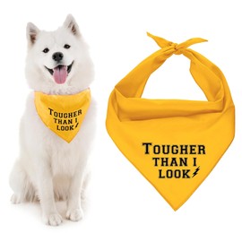 Parisian Pet Dog Bandanas with Printed 'Tougher Than I Look' Words - Tie-On Adjustable Dog Bandana - Polyester Dog Bandana Large Breed - Triangle Bandana Bibs - Yellow Handkerchief for Male Pets - L
