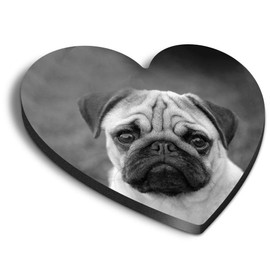 1 x Heart MDF Magnets - Cute Tan Pug Dog Puppies Pets Animals 41304