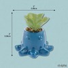 Karma, Shaped Succulent Pot, Artificial Succulents in Ceramic Pot, Faux