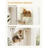 Pecute Double Cat Shelves with Cat Scratching Post for Wall