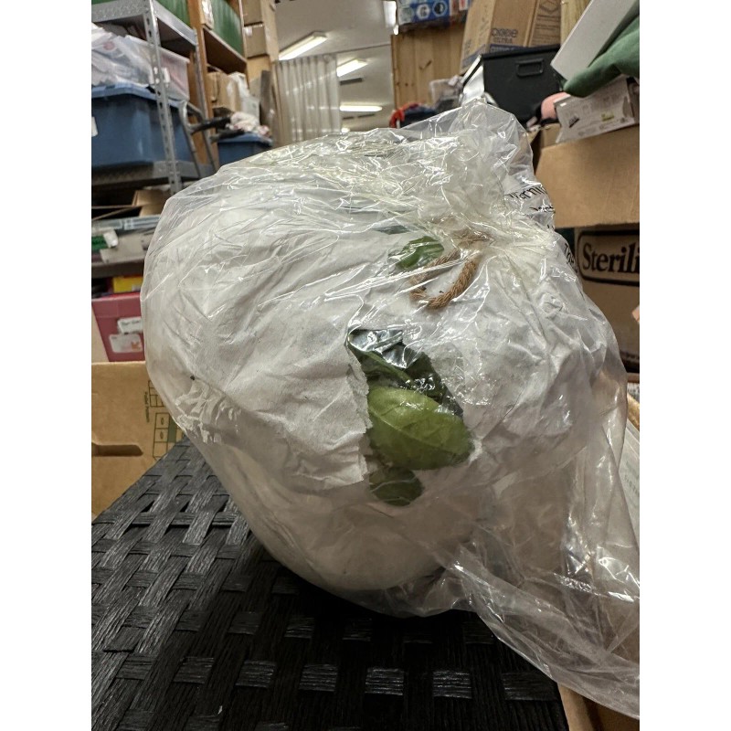 Hearth & hand NEW 31" Faux Button Fern Hanging Plant