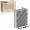 A-Premium A/C Evaporator Core Compatible with Dodge Ram 1500 2009-2010,