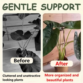 2 Pack Turtle Shell Bamboo Clamp Set - Plant Stem Holder Support Kit for Gardens, Bamboo Plant Stem Support - Sturdy Turtle Shell Clamp Set for Garden Flower Stems (2, Transparent color)