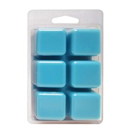 Coral Reef - Scented All Natural Soy Wax Melts - 6 Cube Clamshell 3.2oz Highly Scented!