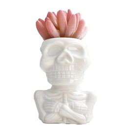 Small Succulent Pots with Drainage Holes, Indoor/Outdoor Ceramic Garden Pots, Skull Shape Mini Flower Pots for Home Decor and Office Desk Decoration, Plants Not Included (Cross-Chest)