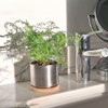 THE SIMPLE SMART COMPANY 304 Mini Accent Planter (2 Pack)