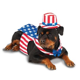 Rubies Uncle Sam Pet Costume for Dogs or Cats, Small