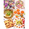 14 Pcs Fruit Vegetable Cookie Cutters Shapes Sets Stainless Steel