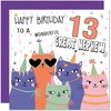 13th Great Nephew Birthday Cards - Childrens Cute Cat Great