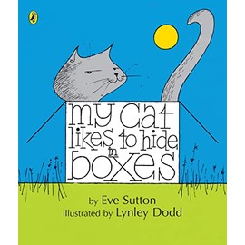 My Cat Likes to Hide In Boxes