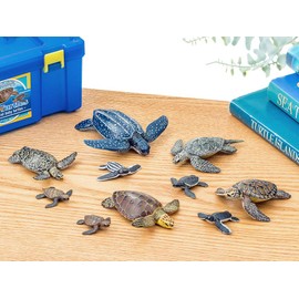 Carolata Sea Turtle Parent and Child Figure, 3D Picture Book (Turtles / 5 Types, 10 Pieces, Instruction Manual Included) Realistic Figure Box, Toy, Educational Toy, Present, Gift, Food Sanitation Act