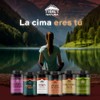 Cúrcuma Orgánica Curcumina Pimienta Negra Cápsulas 500 Suplemento Natural Azúcar