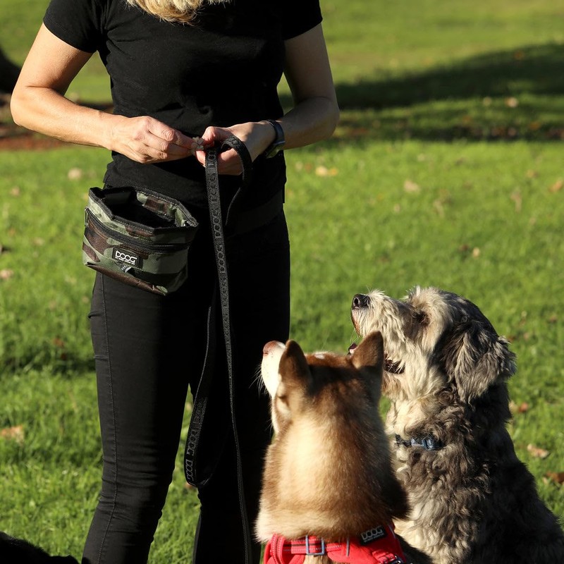 DOOG Treat & Training Pouch - Black | Clip-On Pouch