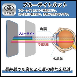 FILMEXT Film DAIWA 19 Electric Reel for Seaborg 500JP 500JS Protective Film Blue Light Reducing Reflection