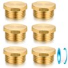 YELUN 3/4" GHT Male Brass Pipe Plug Outer Garden Hose