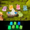 Trasfit Miniature Lucky Cat, Tortoise Set - Fairy Garden Accessories