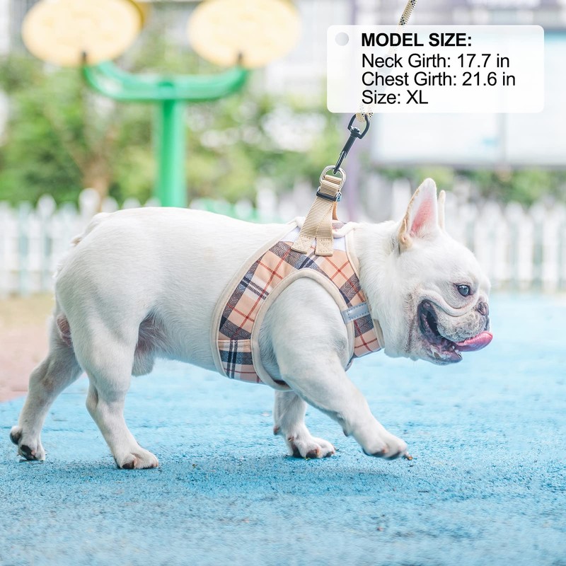 BEAUTYZOO Small Dog Harness and Leash Set,Step in No Choke