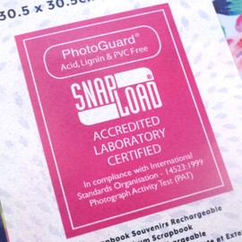 First Edition 12x12 Album Dalmation, Multi, One Size