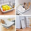THANSTAR Collapsible Dish Drying Rack Portable Dinnerware Drainer Organizer for